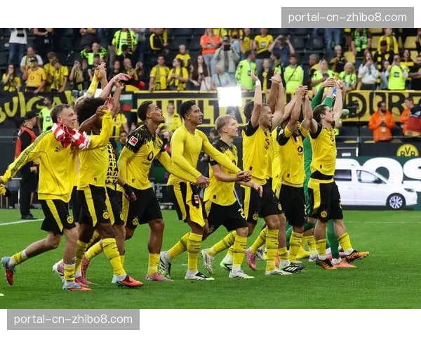 多特蒙德公布上季度财报,欧冠收入成重要支撑 多特蒙德公布上季度财报,欧冠收入成重要支撑